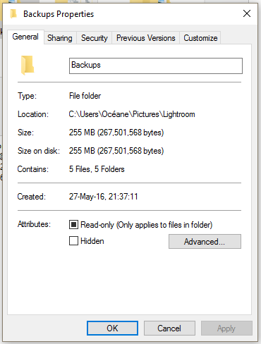 Backups Properties 1.PNG
